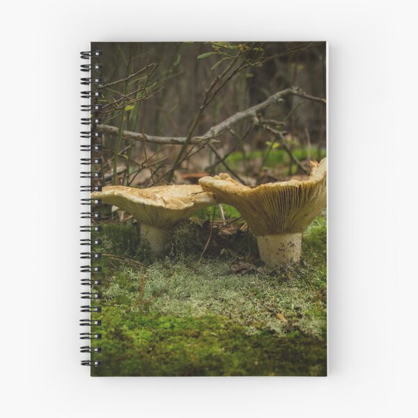 Item preview, Two Mushrooms designed and sold by louise reeves.