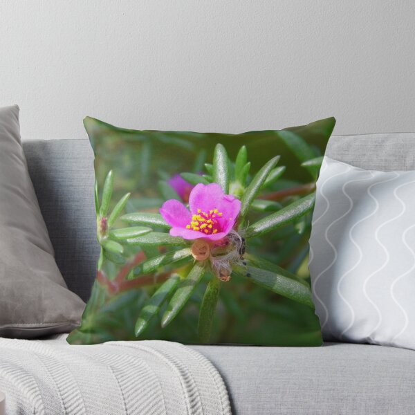 Item preview, little Flower designed and sold by LoreleyRhine.