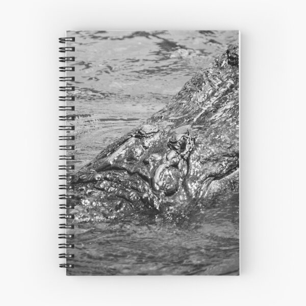 Item preview, Emerging Gator black and white designed and sold by KensLensDesigns.