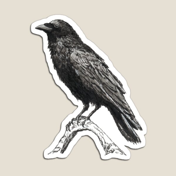 Raven M Magnet