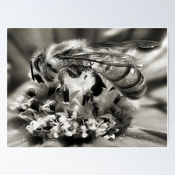 Item preview, Bee~utiful 2 designed and sold by Carla Jensen.