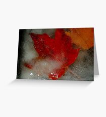 Just Under The Surface Greeting Card