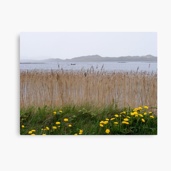 Ireland Canvas Print