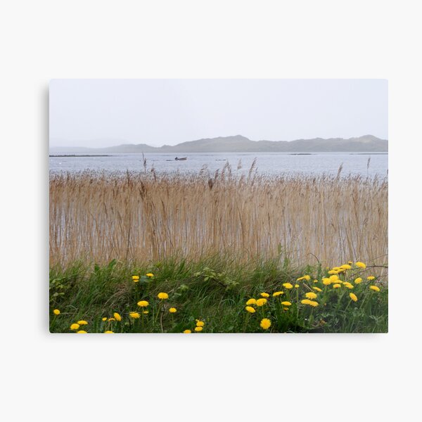 Ireland Metal Print