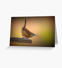 Twit Twit Greeting Card