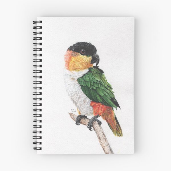 Item preview, Caique clock. Caique watercolor painting.  designed and sold by BlueParrotss.
