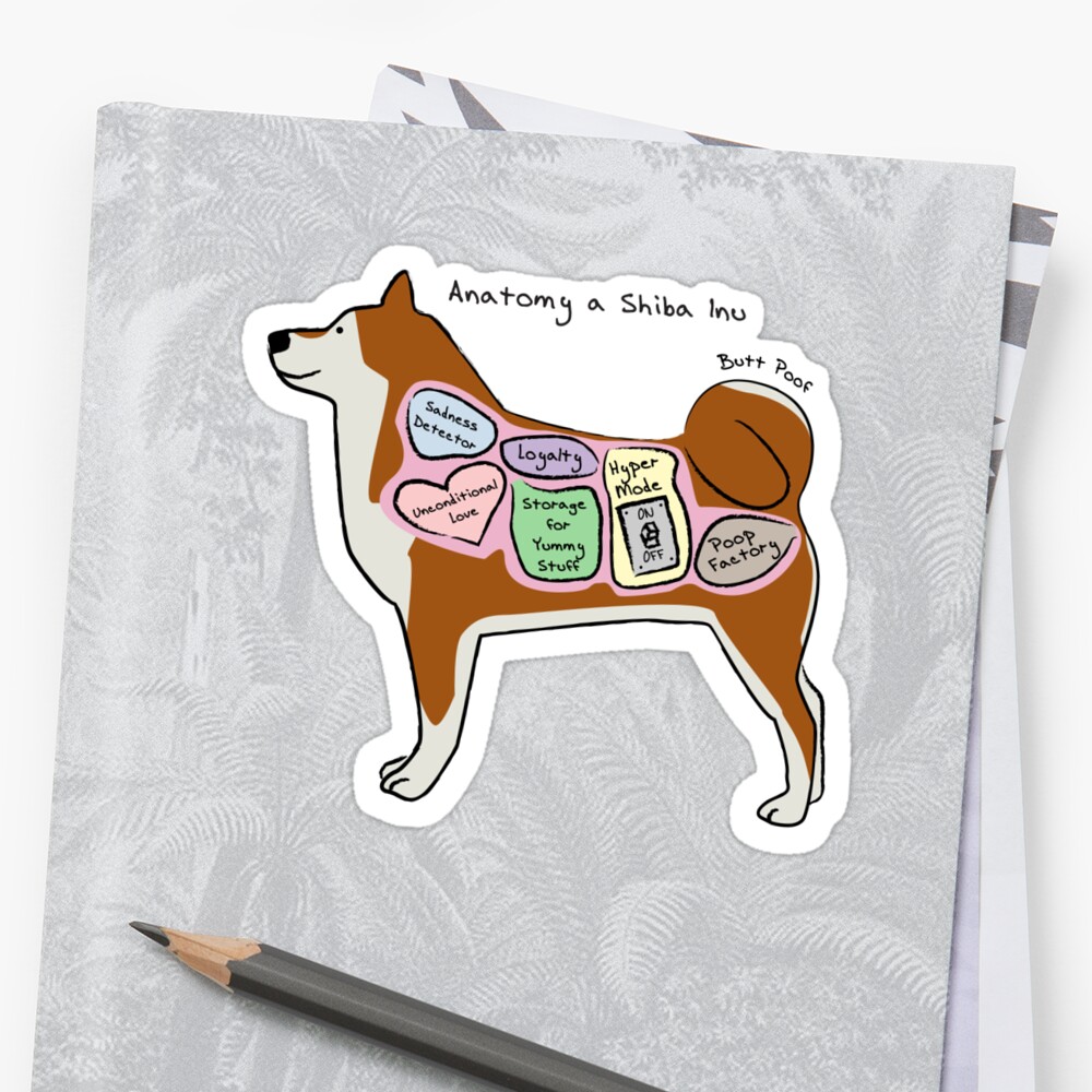 Anatomy Of A Shiba Inu Sticker By Mommysketchpad