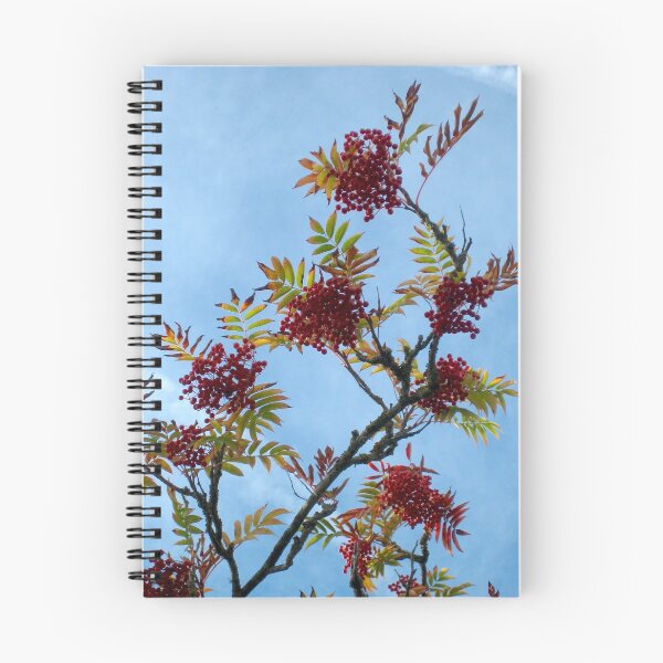 Item preview, Red Berries and Blue Sky designed and sold by CircusOfThought.