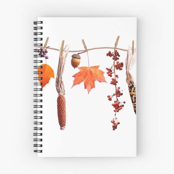 Item preview, colorful autumn leaves berries and seeds arrangement isolated on white background designed and sold by svetlanna.