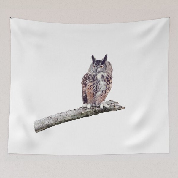 Item preview, Great Horned Owl perched on a branch isolated on white background designed and sold by svetlanna.