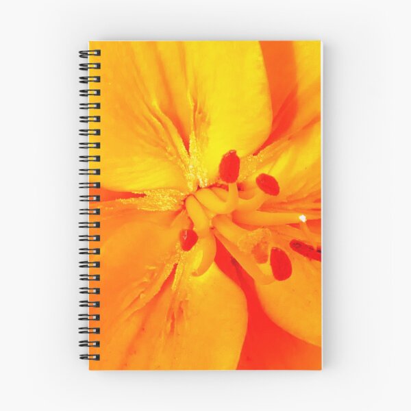Aperçu de l'œuvre lillies orange créée et vendue par Amymint.