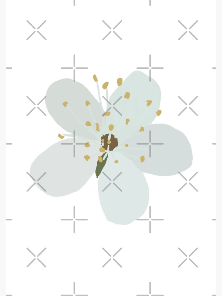 White Blossom by SophieTurnerArt