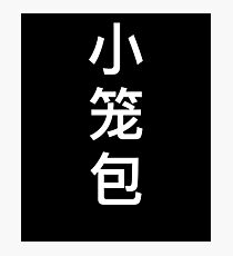 Xiaolongbao Chinese Food Soup Dumpling Gift Photographic Print