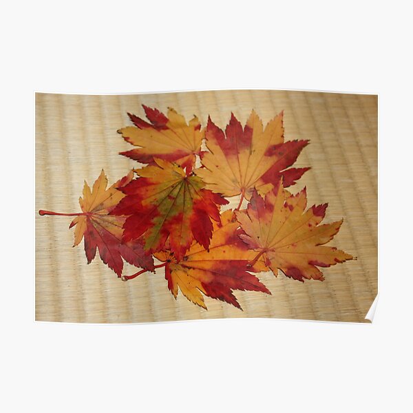 Momiji Tatami Poster