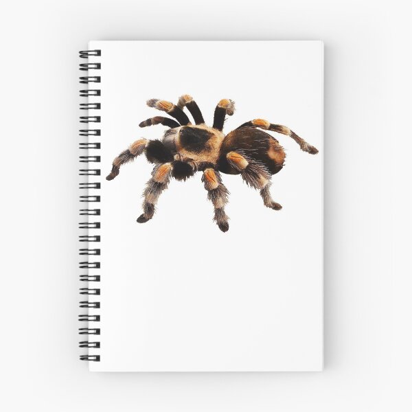Item preview, Tarantula Exotic Spider Gift Pet Tarantula Keeper Arachnid Lover designed and sold by madeulaugh.
