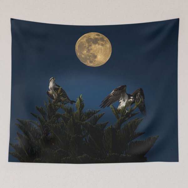 Item preview, Ospreys with the moon designed and sold by Zina Stromberg.