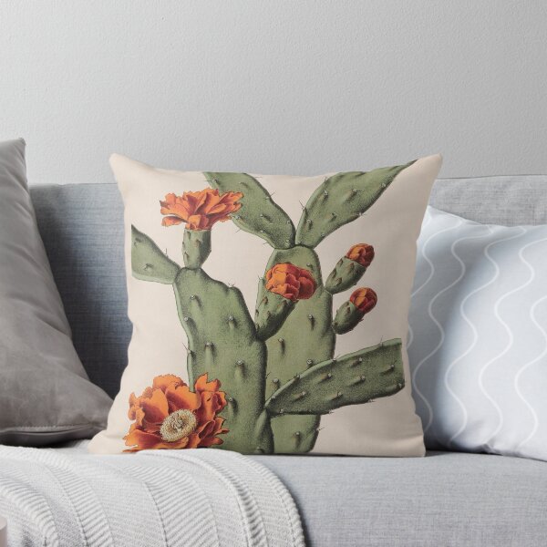 Aperçu de l'œuvre Cactus botanique créée et vendue par BlueSpecsStudio.