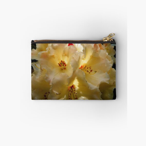 Item preview, Backlit designed and sold by ElsT.