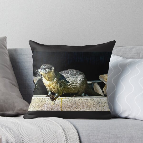 Item preview, Oriental Small-clawed Otter designed and sold by miroslava.