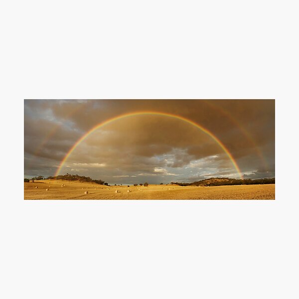 Item preview, Rainbow Hay designed and sold by Peter Hodgson.
