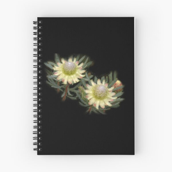 Item preview, Protea Flowers, South Africa designed and sold by Geoffrey Higges.