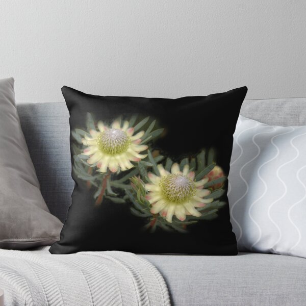 Item preview, Protea Flowers, South Africa designed and sold by Geoffrey Higges.