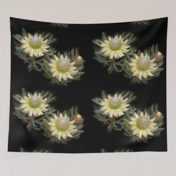 Item preview, Protea Flowers, South Africa designed and sold by Geoffrey Higges.