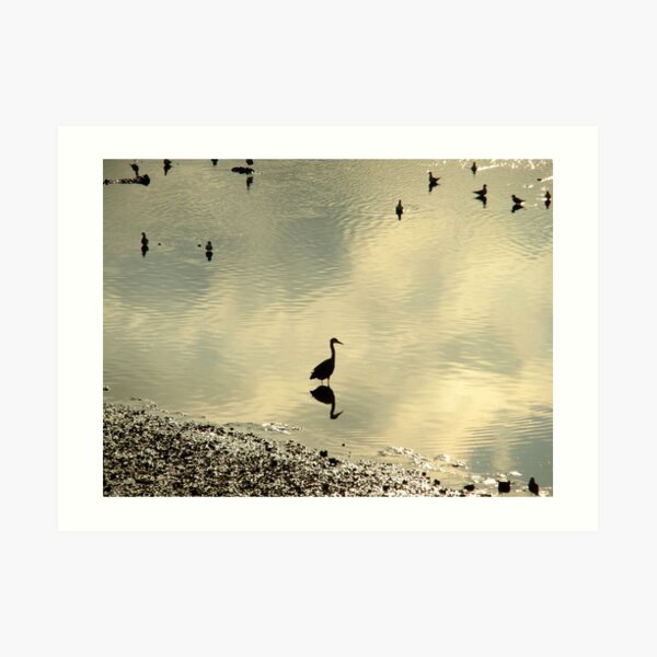 Duplicates Art Print