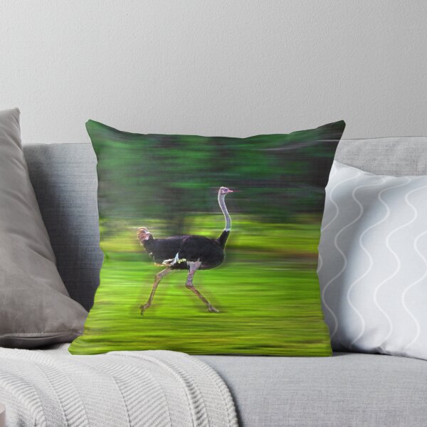 Item preview, Run Ostrich designed and sold by miroslava.