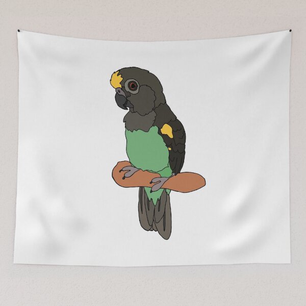 Aperçu de l'œuvre Meyers Parrot créée et vendue par nolessjess.