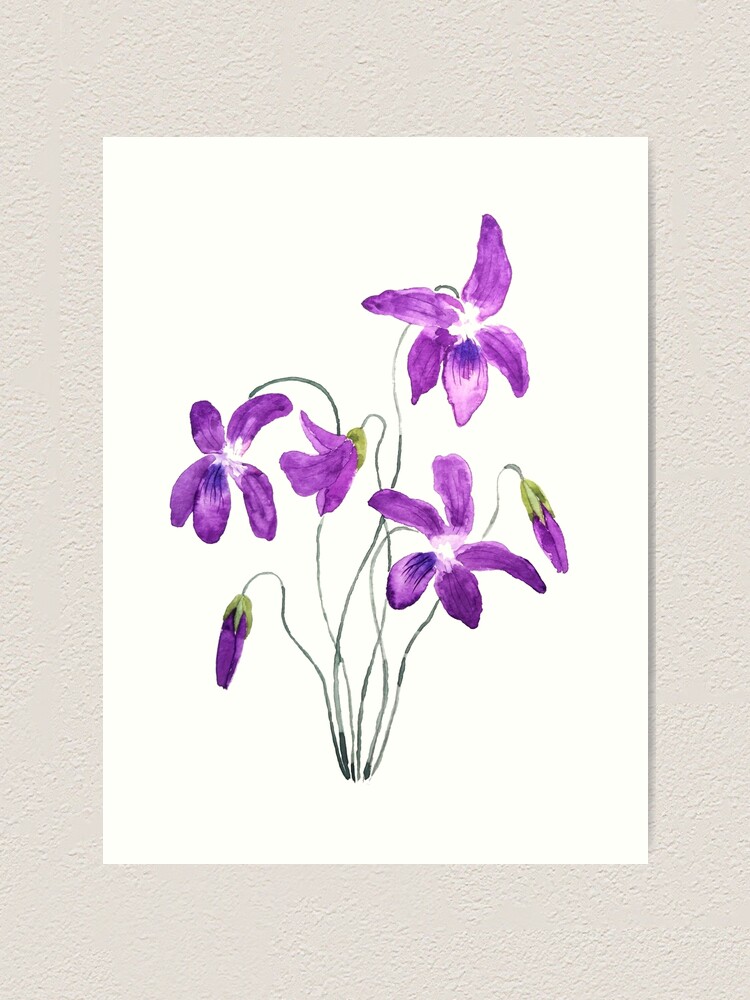 Impression artistique « aquarelle de fleurs violettes », par ColorandColor  | Redbubble