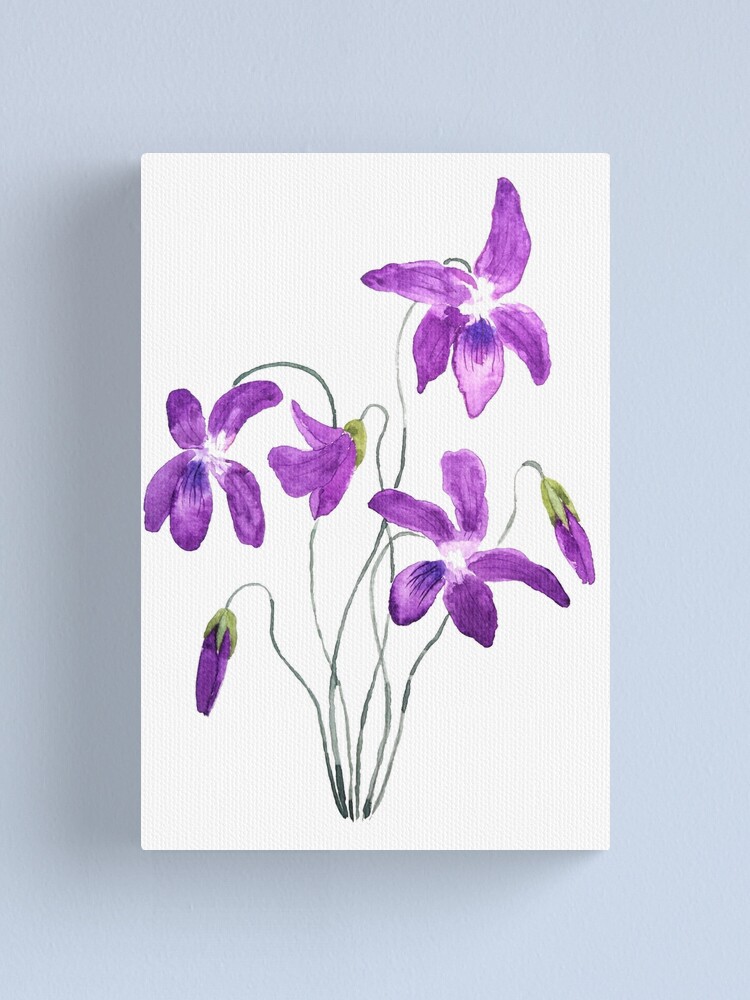 Impression sur toile « aquarelle de fleurs violettes », par ColorandColor |  Redbubble