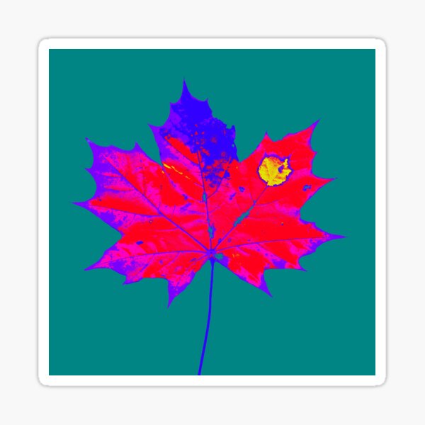 Herbst Blatt Farbenfroh Sticker