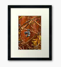 Circle Game Framed Print