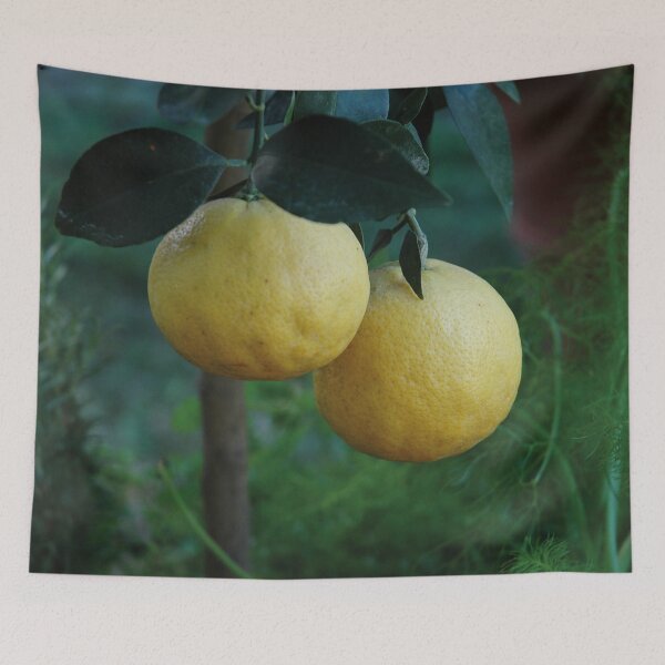 Item preview, Bergamots designed and sold by Nerone.