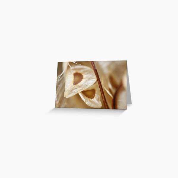 ready to leave the nest Greeting Card