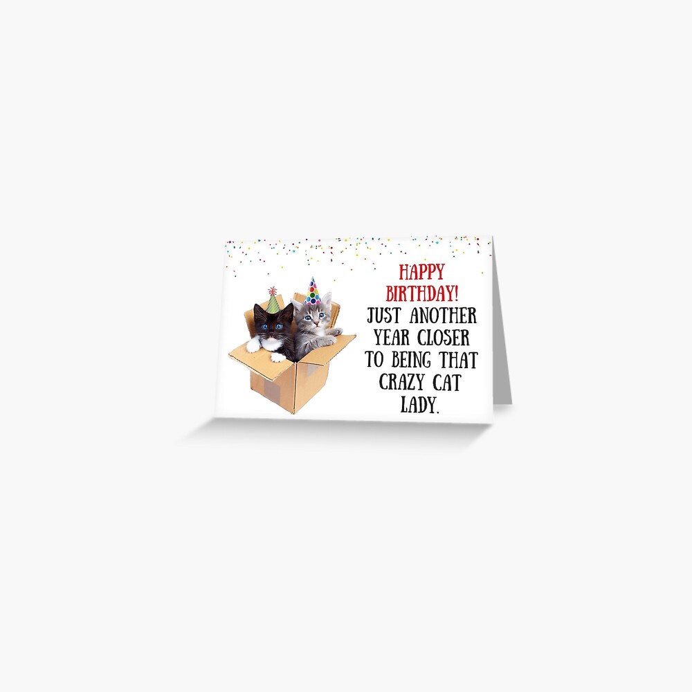 Carte Postale Chats Dans La Boite Carte D Anniversaire De Chat Carte D Anniversaire De Dame De Chat Cartes De Voeux Meme Par Avit1 Redbubble