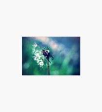 Dandelion Day Dreams Art Board