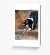 Catch It Mum! Greeting Card