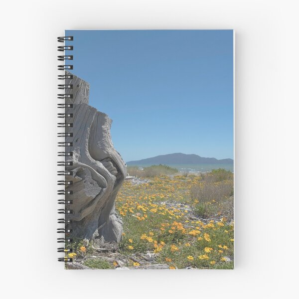 Item preview, Kapiti Island From Te Horo Beach designed and sold by Barry Culling.