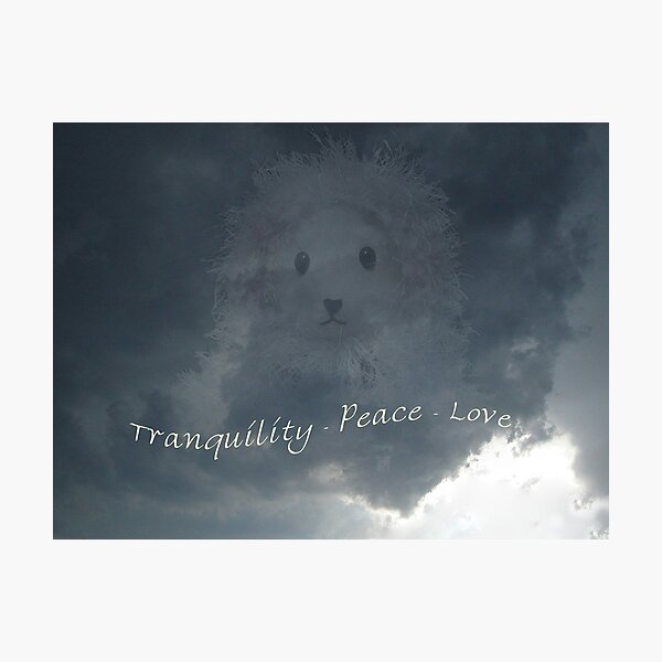 Tranquility - Peace - Love Photographic Print