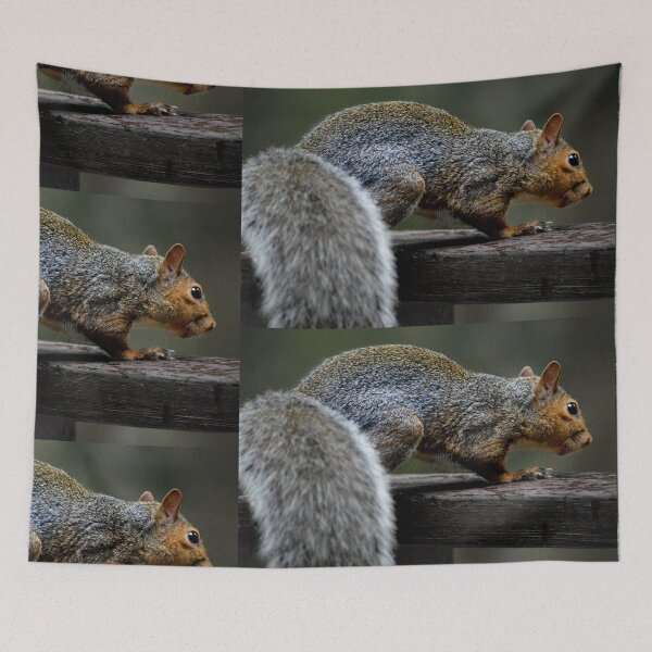 Item preview, Just visiting designed and sold by Laurie Minor.