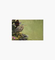 Great Blue Heron Art Board