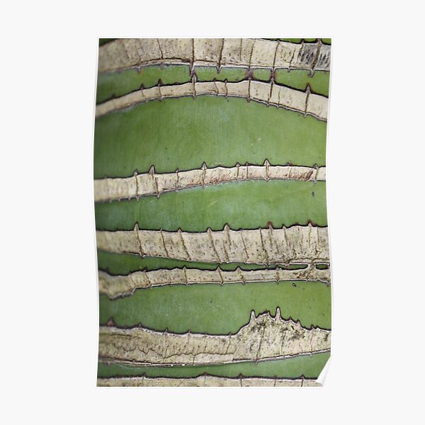 Green lines Poster