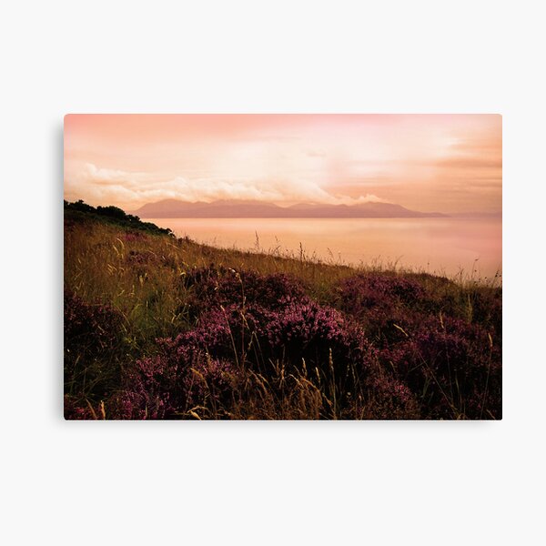 Item preview, Heather Evening, Bute designed and sold by artyfifi.