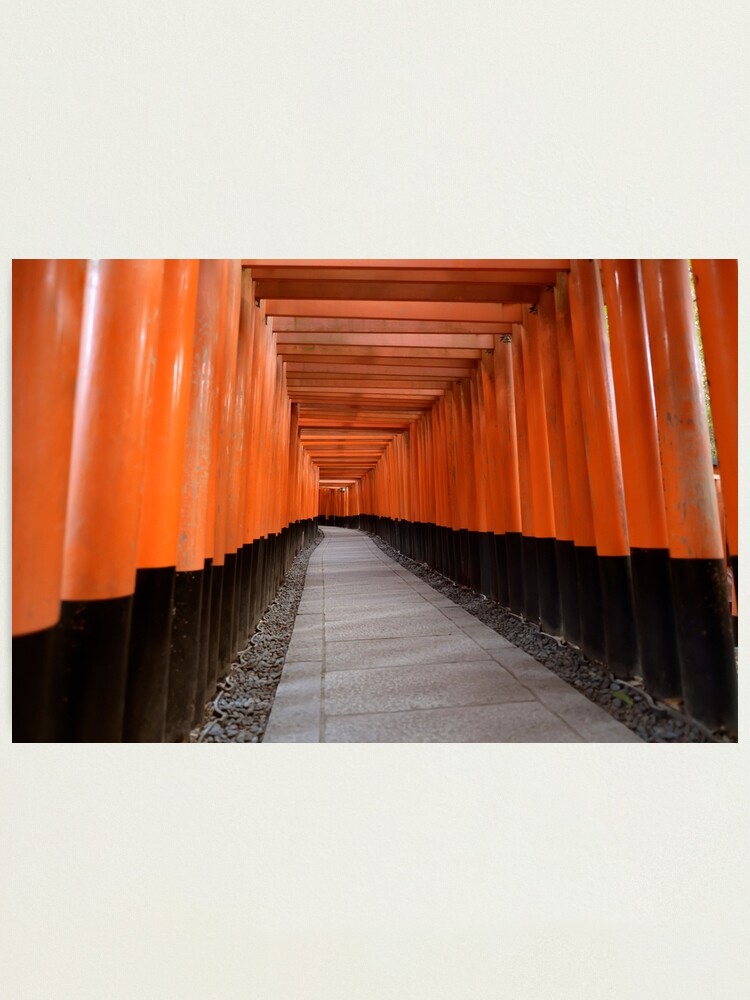 Senbon Torii Durchgang Von Torii Toren Die Zu Den Ausseren Schrein Von Fushimi Inari Taisha Im Kunst Fotodruck Kyotos Japan Fuhren Fotodruck Von Awenartprints Redbubble