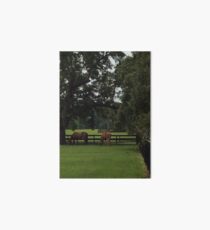 Plantation Horses Art Board