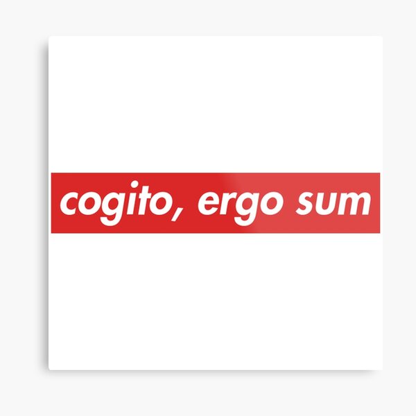 Cogito Ergo Sum Metal Print By Amrisbamazruk Redbubble