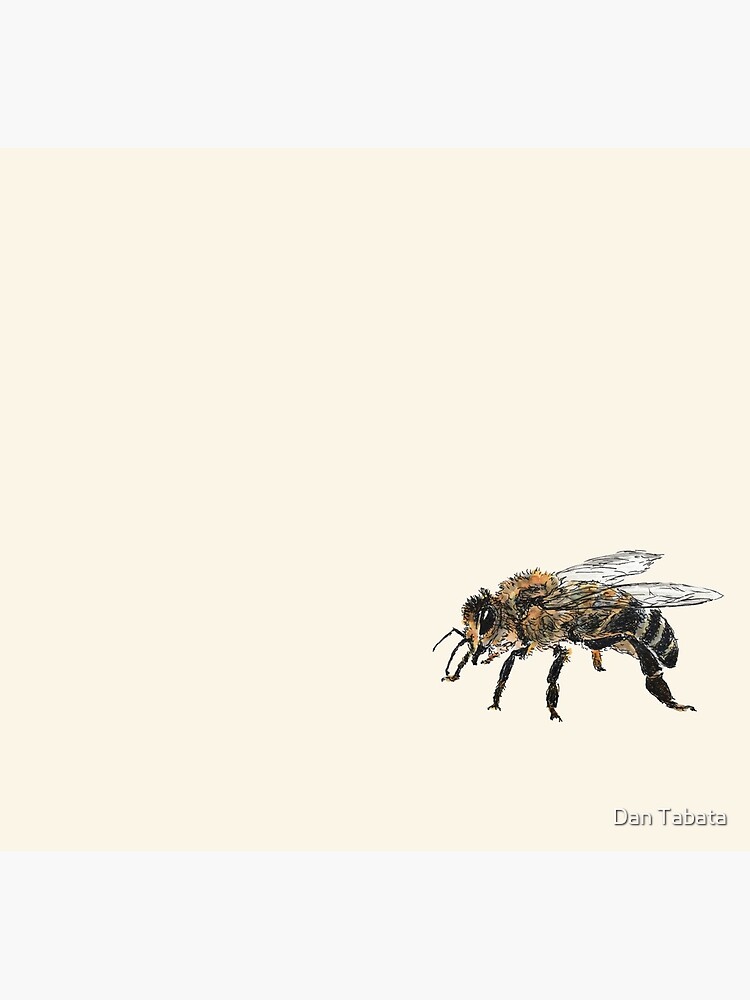 Honey Bee by dmtab