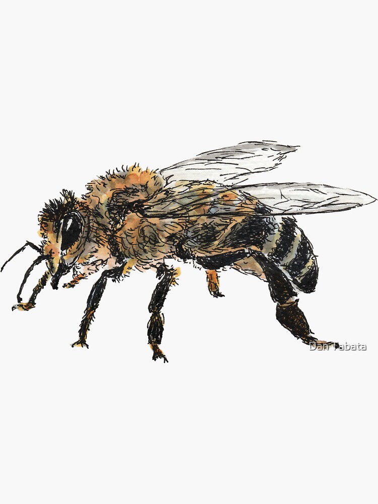 Honey Bee by dmtab